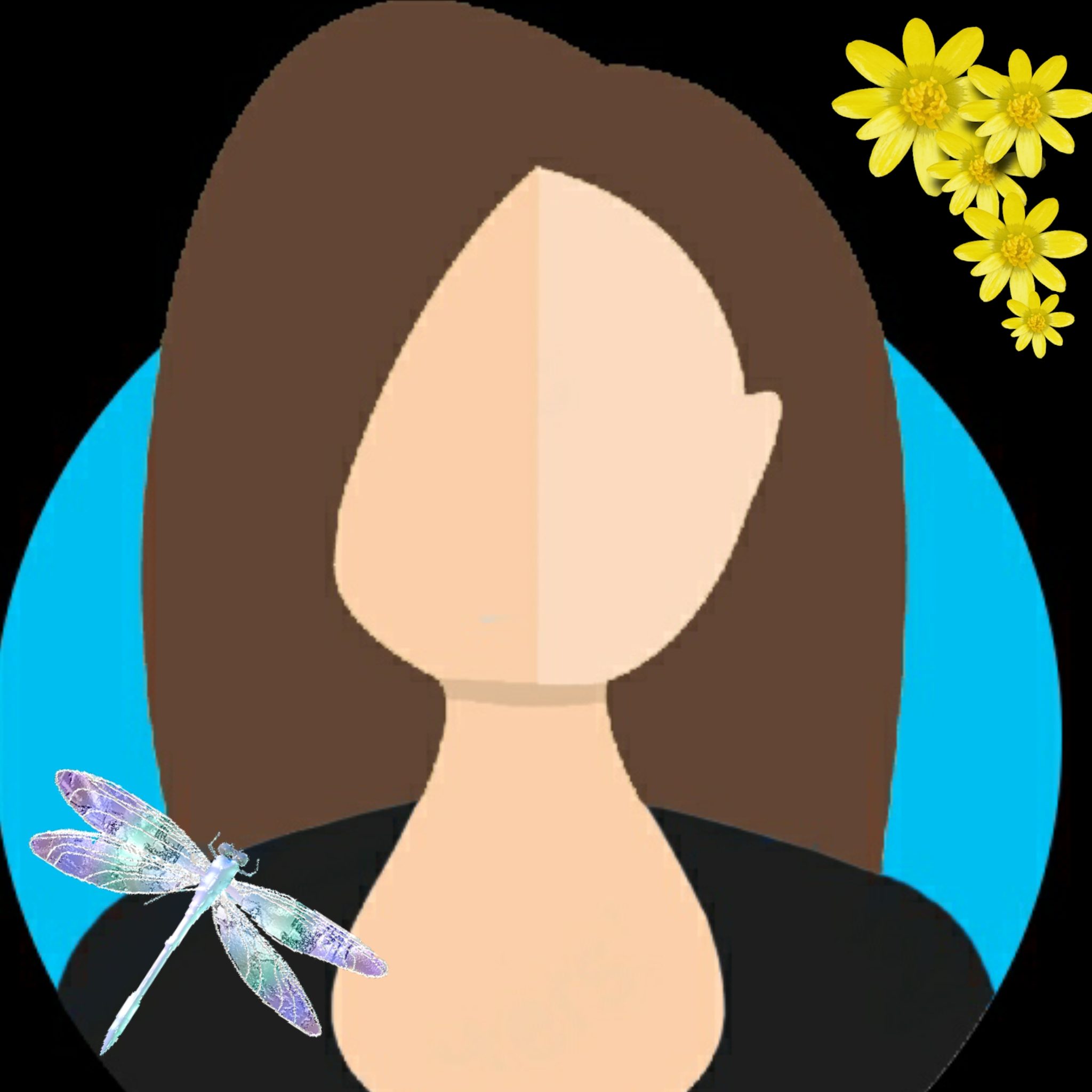 The Dragonfly Diaries